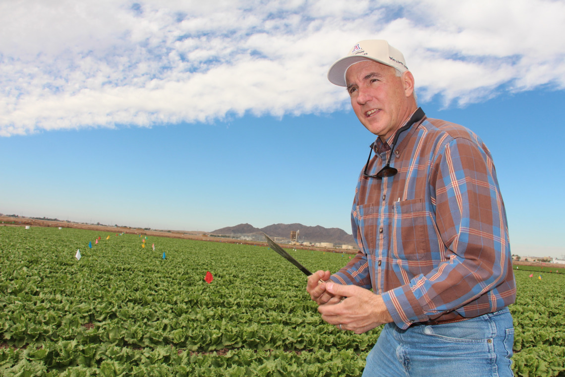 John Palumbo in a Yuma agricultural field